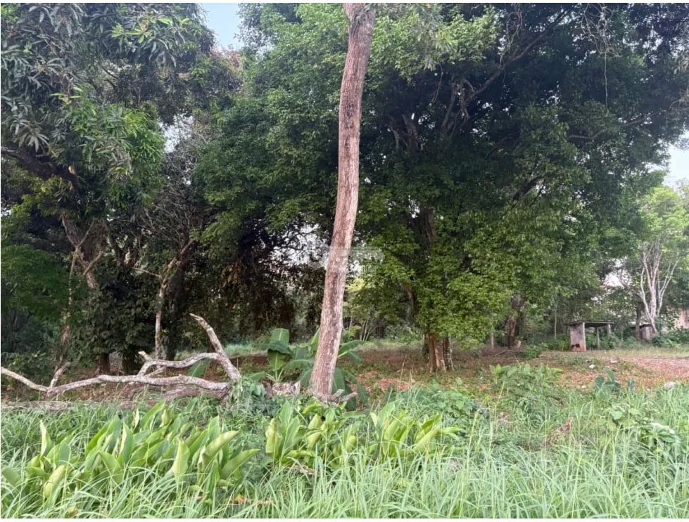 LA CHORRERA / EL ESPINO / 6818M / SOBRE LA VIA / USO COMERCIAL / AG