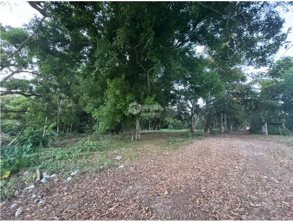 Building Lot for sale in El Espino