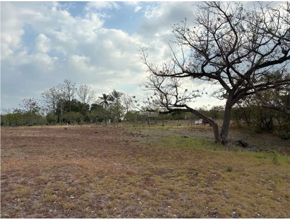 Building Lot for sale in San Carlos