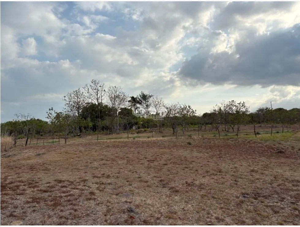 Building Lot for sale in San Carlos