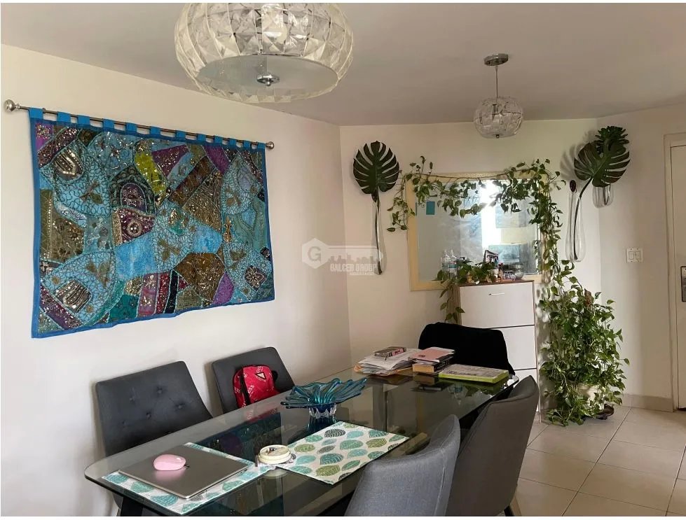 Apartment for rent in Hato Pintado