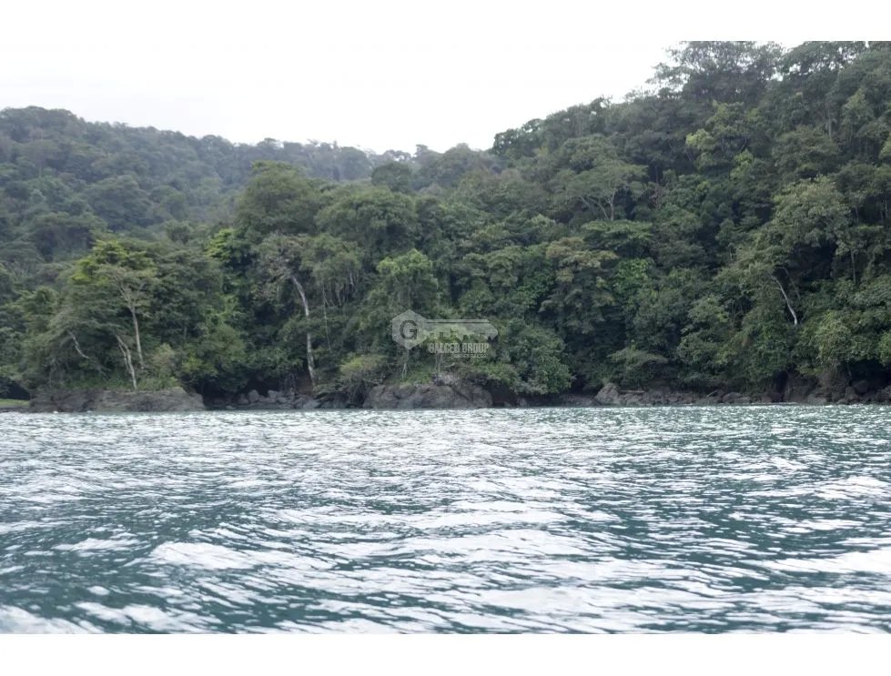 DARIEN / BAHIA PIÑA / 820 HECTAREAS / ISLA TOTALMENTE VIRGEN / AG