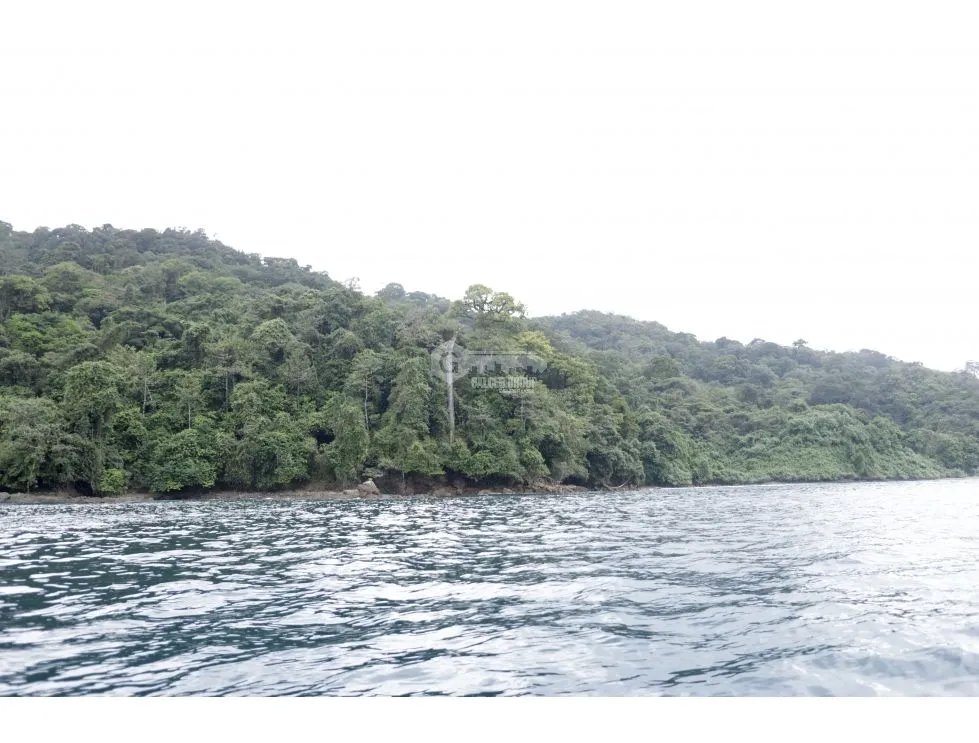 DARIEN / BAHIA PIÑA / 820 HECTAREAS / ISLA TOTALMENTE VIRGEN / AG