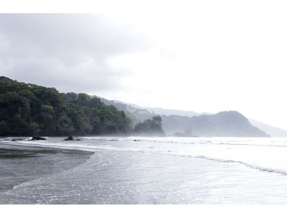 DARIEN / BAHIA PIÑA / 820 HECTAREAS / ISLA TOTALMENTE VIRGEN / AG