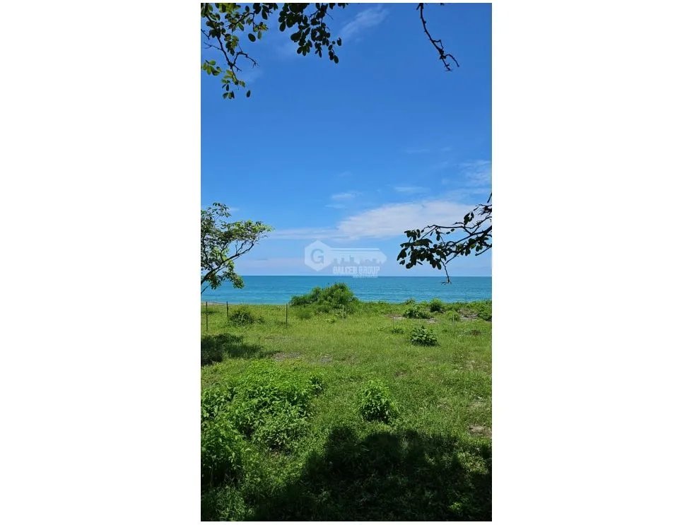 NUEVA GORGONA / MALIBU / 1000M / FRENTE AL MAR / AG