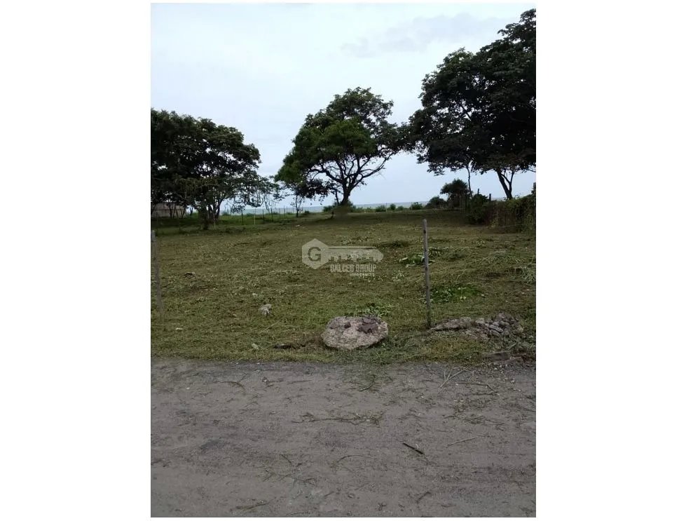 NUEVA GORGONA / MALIBU / 1000M / FRENTE AL MAR / AG