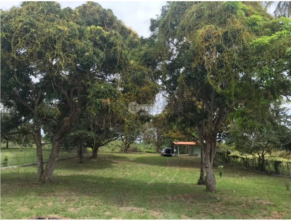 Building Lot for sale in San Carlos
