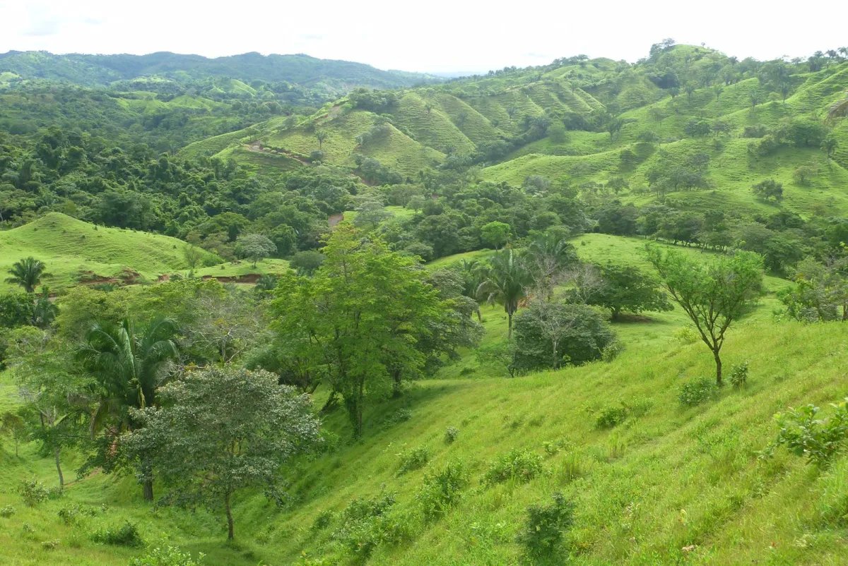 Venta de Finca en Cative, Veraguas