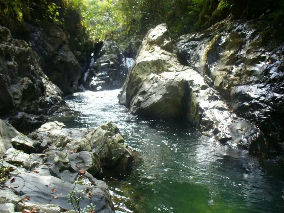 Venta de Finca en Cative, Veraguas