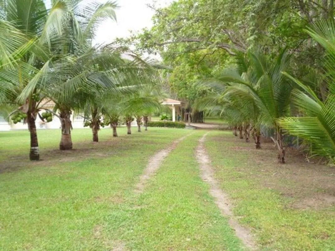 Venta de Casa con Terreno en Coloncito, Chame