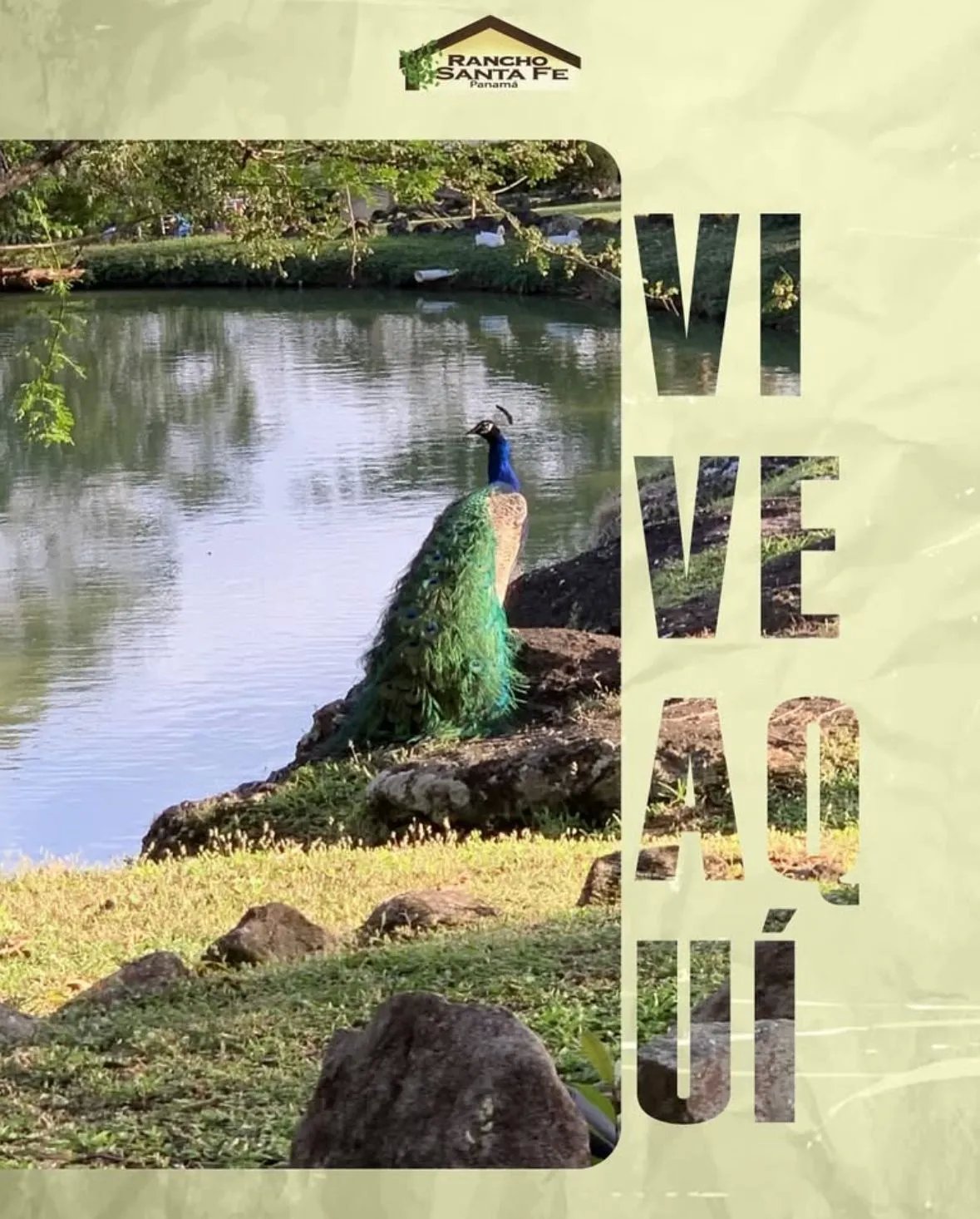 Se vende lote en la Laguna de San Carlos, Proyecto Rancho Santa Fe