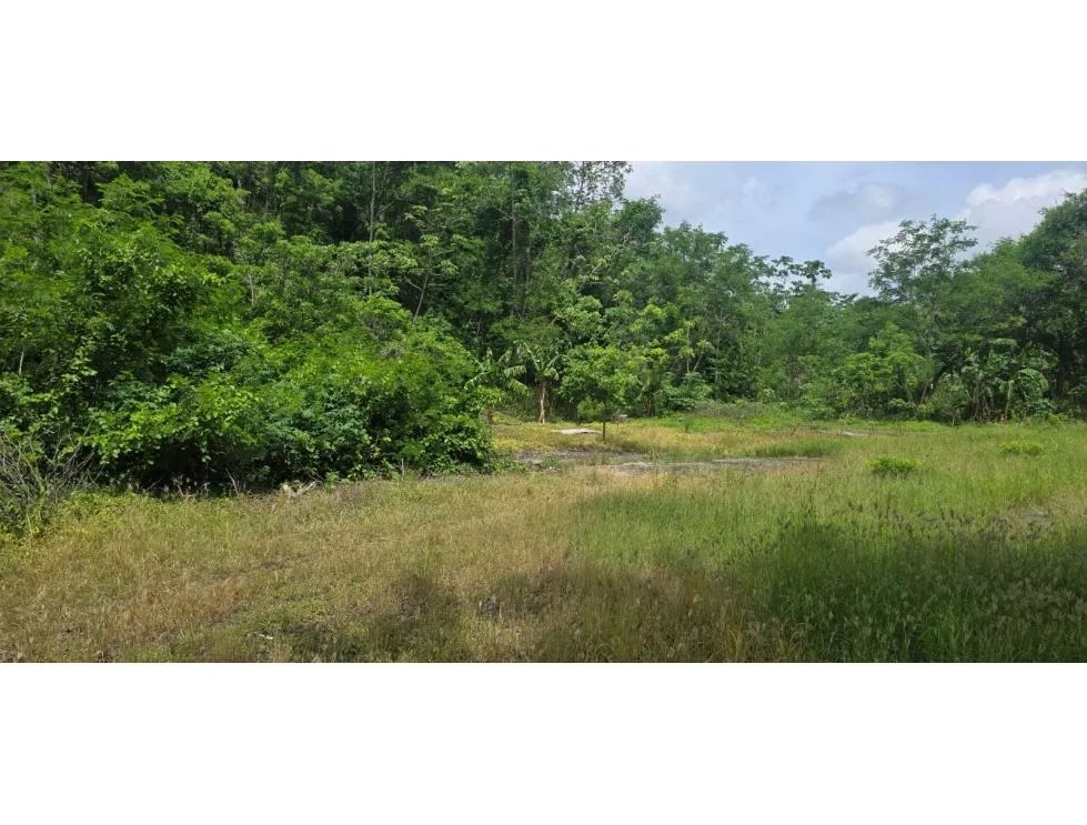 EL CRISOL / ALQUILO LOTE/ 2,000 MTRS