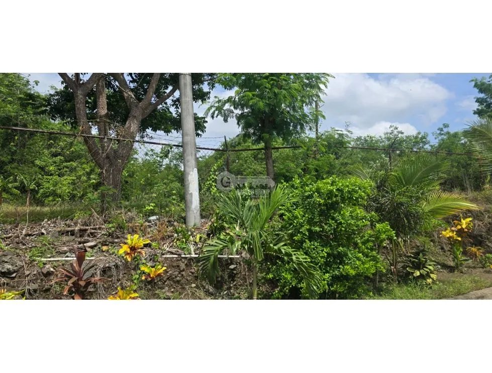 EL CRISOL / ALQUILO LOTE/ 2,000 MTRS