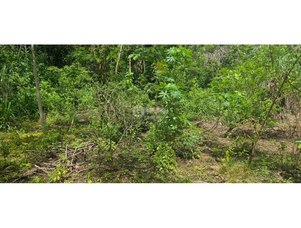 EL CRISOL / ALQUILO LOTE/ 2,000 MTRS