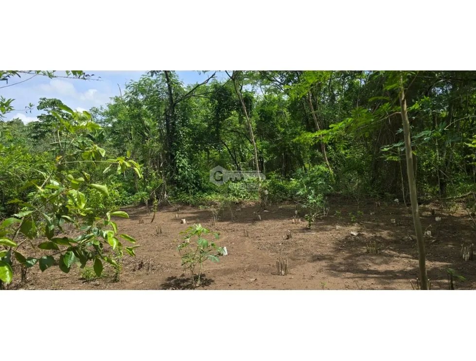 EL CRISOL / ALQUILO LOTE/ 2,000 MTRS