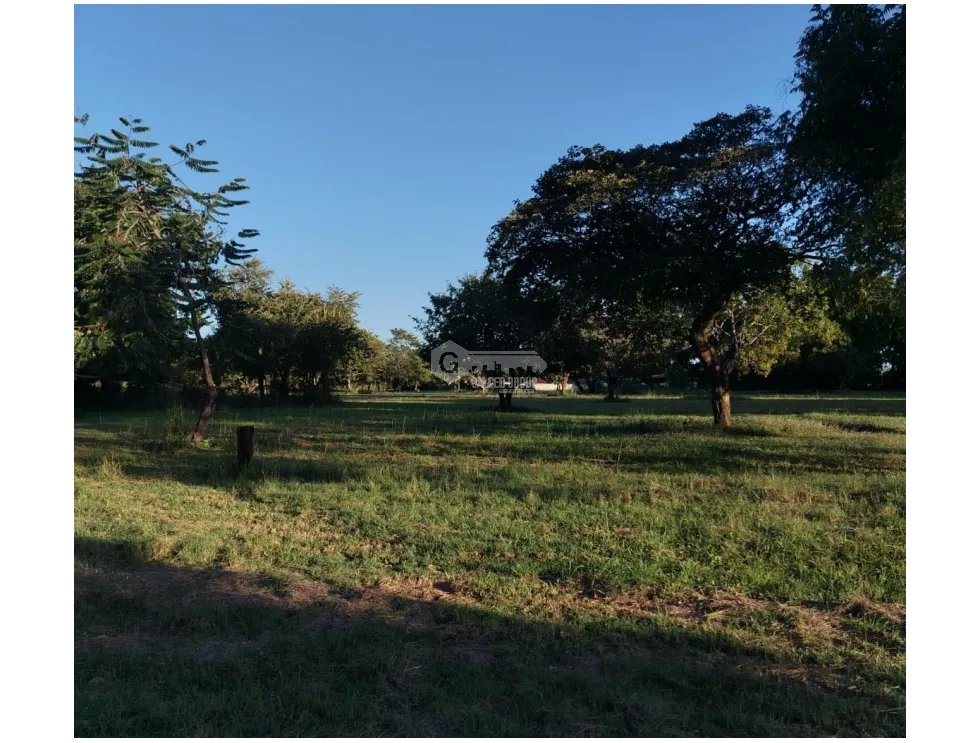 SE VENDE FINCA EN CORONADO BOULEVARD 6.8 HECTAREAS 50.00 M DESARROLLO