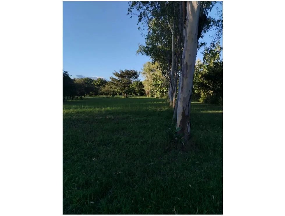 SE VENDE FINCA EN CORONADO BOULEVARD 6.8 HECTAREAS 50.00 M DESARROLLO