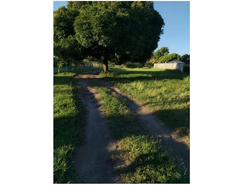 SE VENDE FINCA EN CORONADO BOULEVARD 6.8 HECTAREAS 50.00 M DESARROLLO