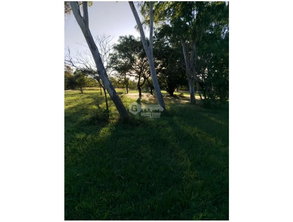 SE VENDE FINCA EN CORONADO BOULEVARD 6.8 HECTAREAS 50.00 M DESARROLLO