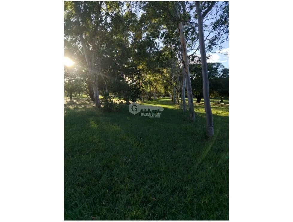 SE VENDE FINCA EN CORONADO BOULEVARD 6.8 HECTAREAS 50.00 M DESARROLLO
