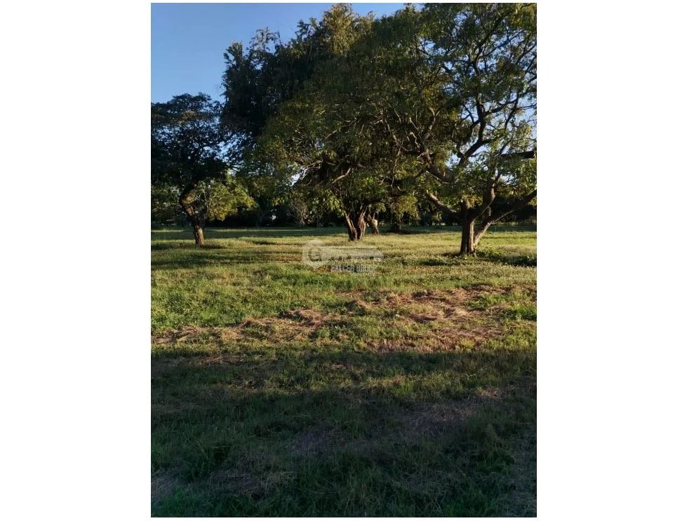 CORONADO / BOULEVARD / FINCA / 6.8 HECTAREAS / 50.00 M / DESARROLLO
