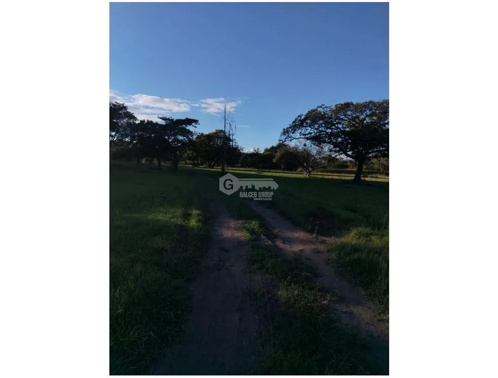 CORONADO / BOULEVARD / FINCA / 6.8 HECTAREAS / 50.00 M / DESARROLLO
