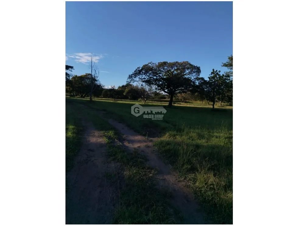 CORONADO / BOULEVARD / FINCA / 6.8 HECTAREAS / 50.00 M / DESARROLLO