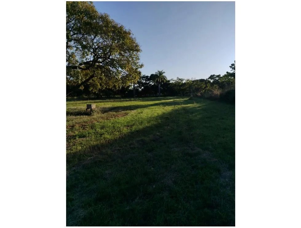 CORONADO / BOULEVARD / FINCA / 6.8 HECTAREAS / 50.00 M / DESARROLLO