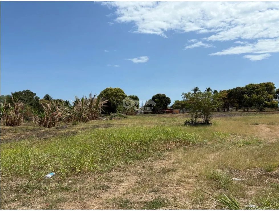 Building Lot for sale in San Carlos