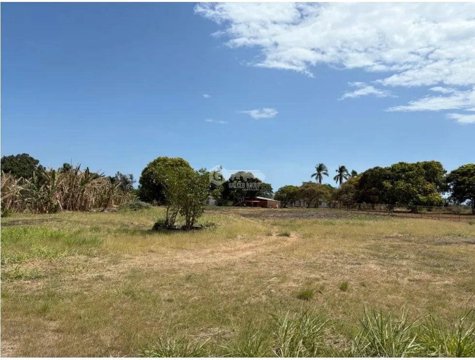 Building Lot for sale in San Carlos