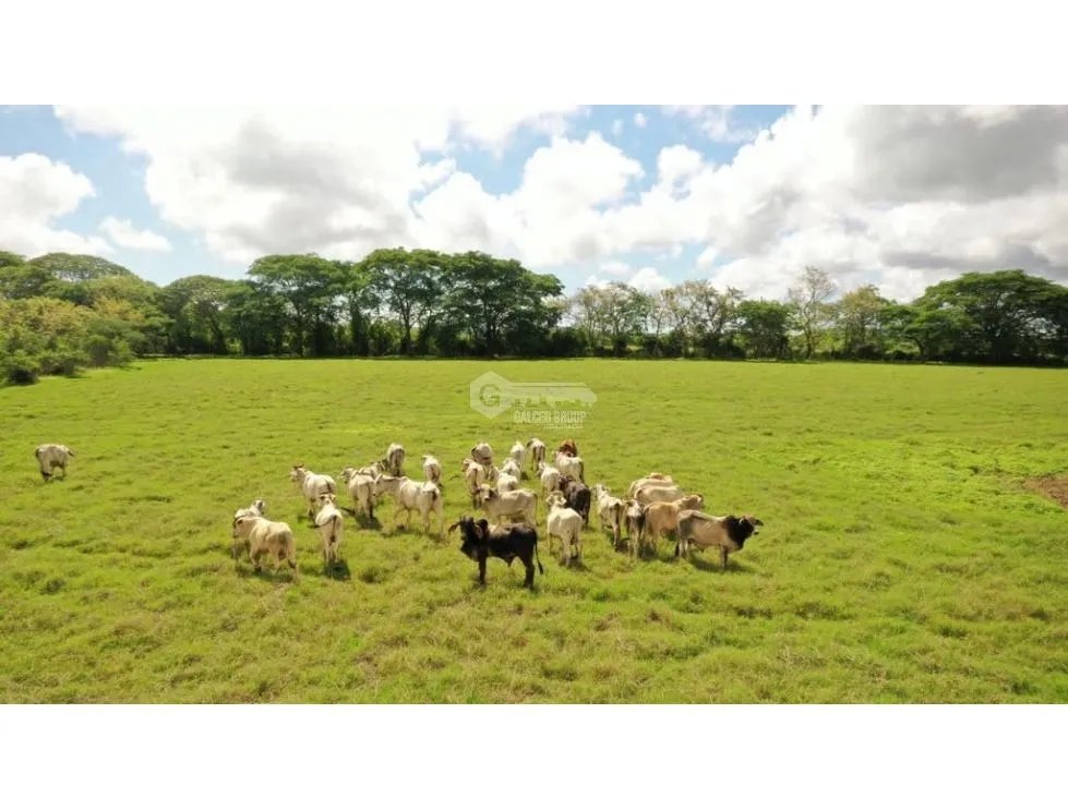 SE VENDE FINCA TITULADA IDEAL PARA GANADERÍA EN PARITA DE HERRERA