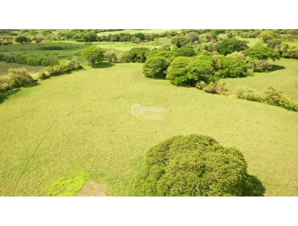 PARITA / HERRERA / IDEAL PARA AGRICULTURA Y GANADERIA / 13 HECTAREAS