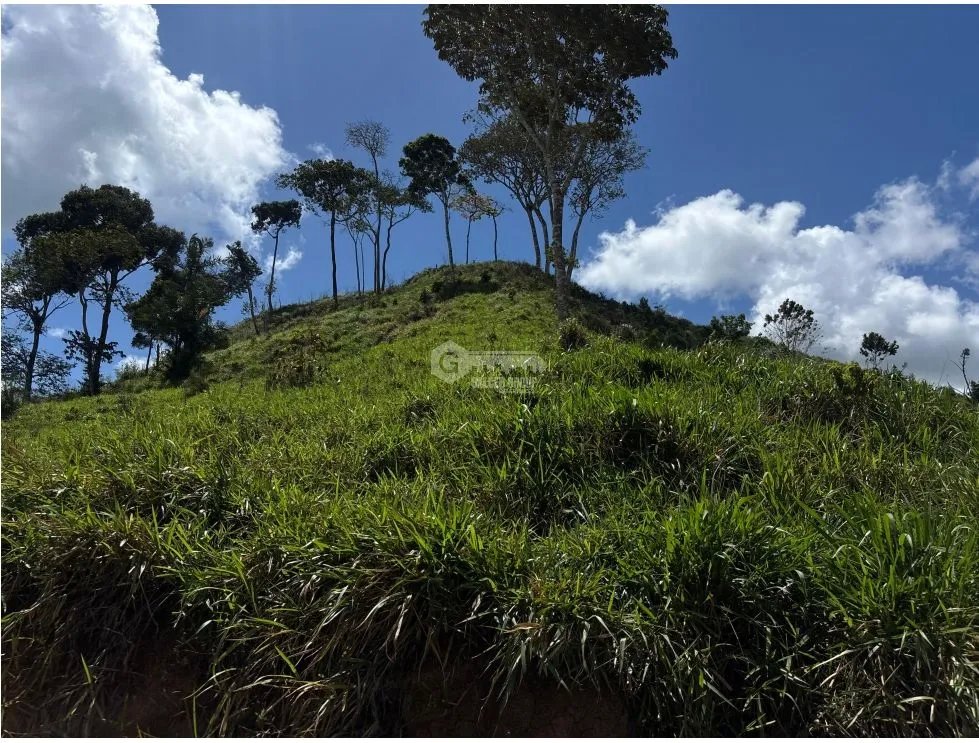 SE VENDE TERRENO DE 70 HECTÁREA EL CACAO CAPIRA IDEAL PARA GANADERIA