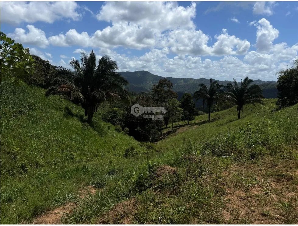 Land/Farm for sale in Capira