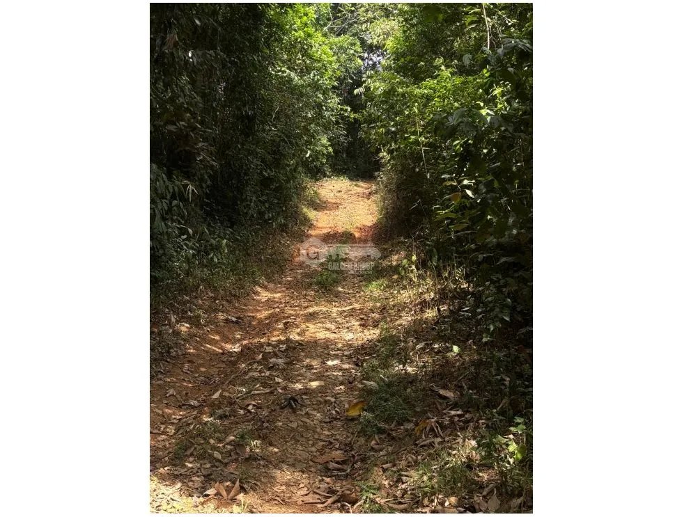 Land/Farm for sale in Capira
