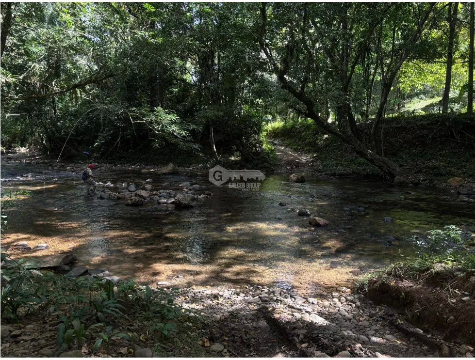 Land/Farm for sale in Capira