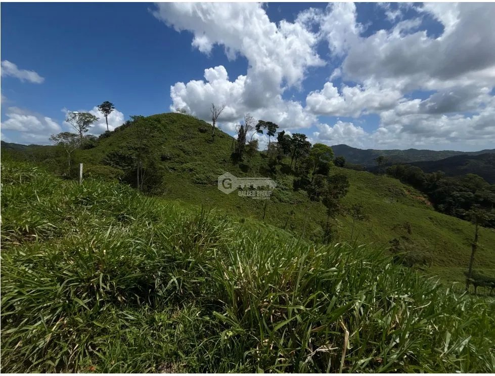 Land/Farm for sale in Capira