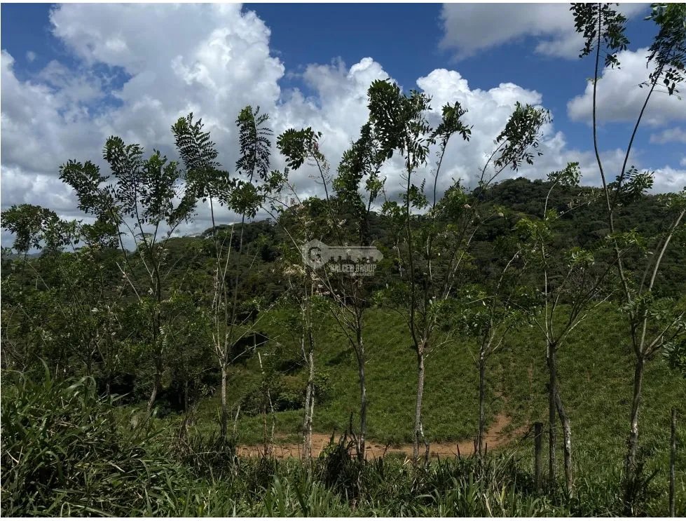 EL CACAO / CAPIRA / 70 HECTAREAS / IDEAL PARA GANADERIA Y AGRICULTURA