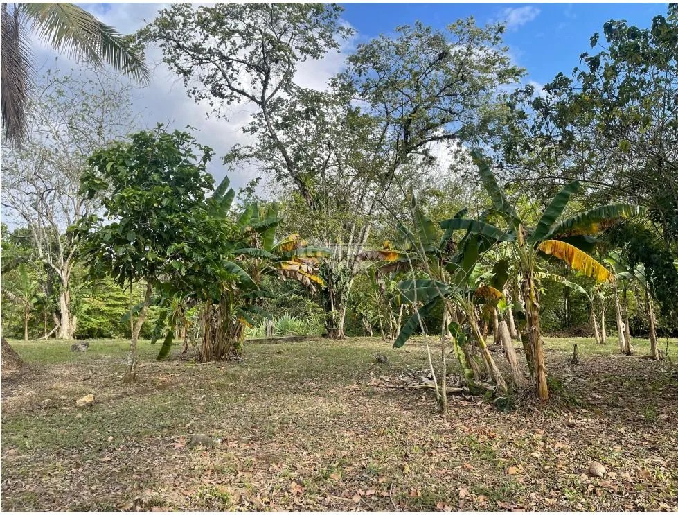 SE VENDE TERRENO PLANO EN CHILIBRE DE 5200M SOBRE CALLE