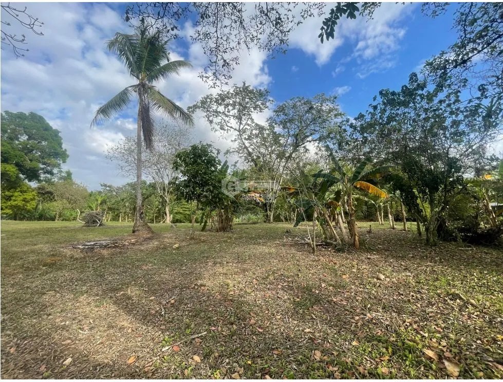 CHILIBRE / TERRENO PLANO / 5200M / SOBRE CALLE / IDEAL PARA VIVIENDA