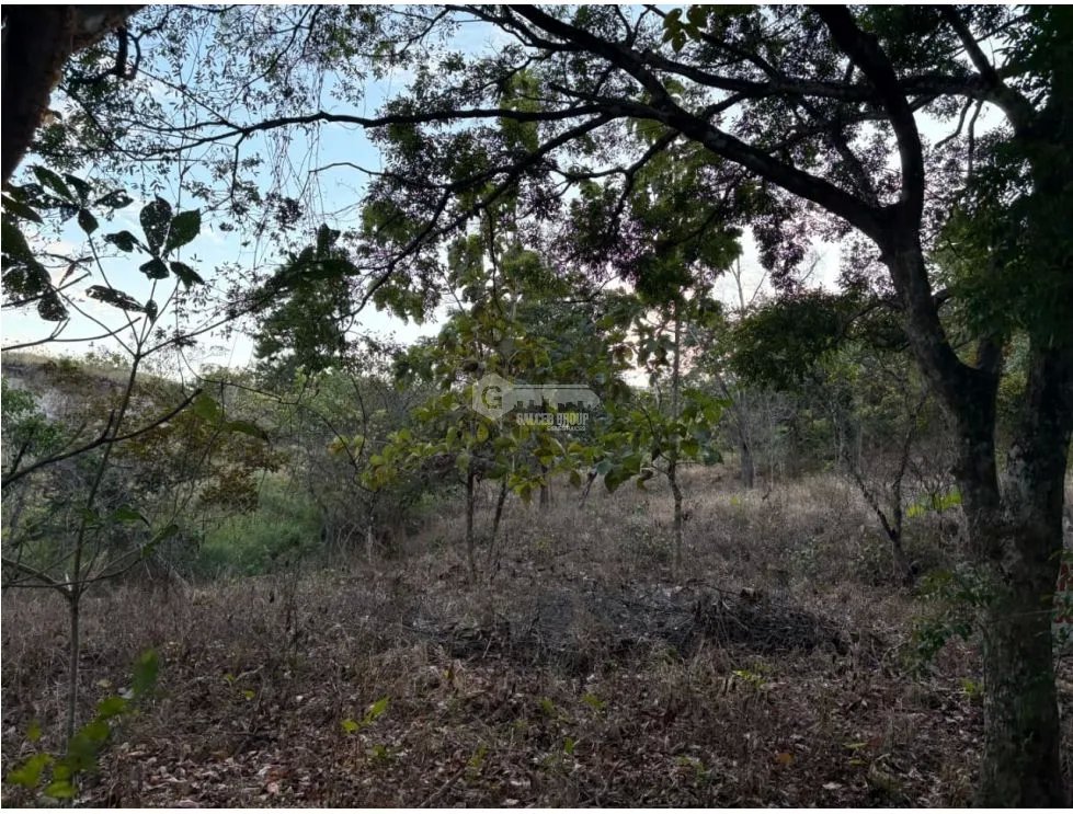 SAN CARLOS / LAS PEÑITAS / 1600M / SOBRE LA VIA / RESIDENCIAL / AG