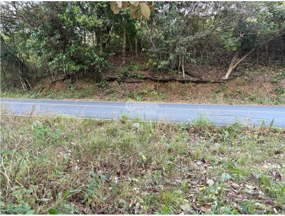 SAN CARLOS / LAS PEÑITAS / 1600M / SOBRE LA VIA / RESIDENCIAL / AG