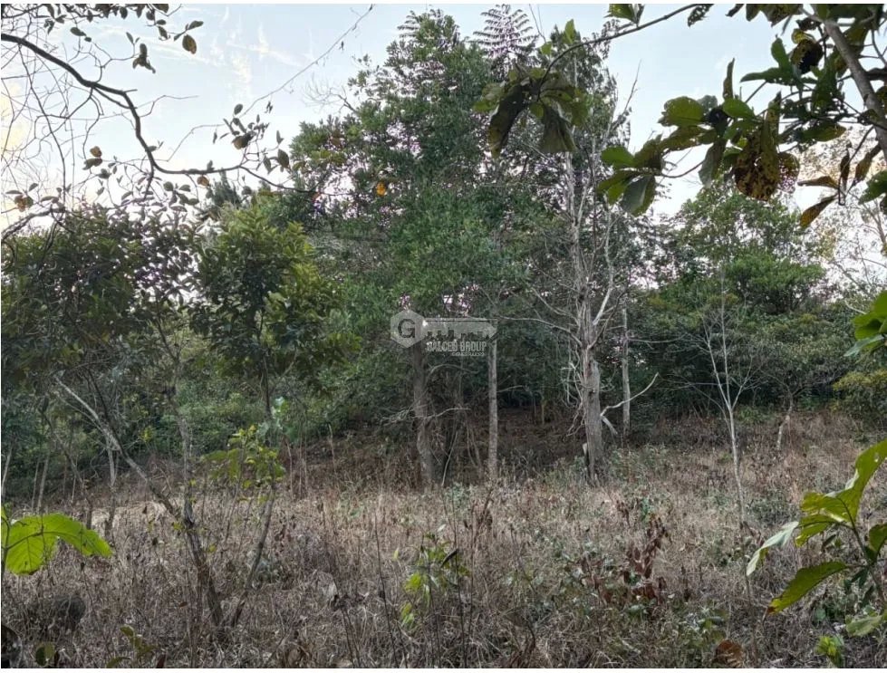 SAN CARLOS / LAS PEÑITAS / 1600M / SOBRE LA VIA / RESIDENCIAL / AG