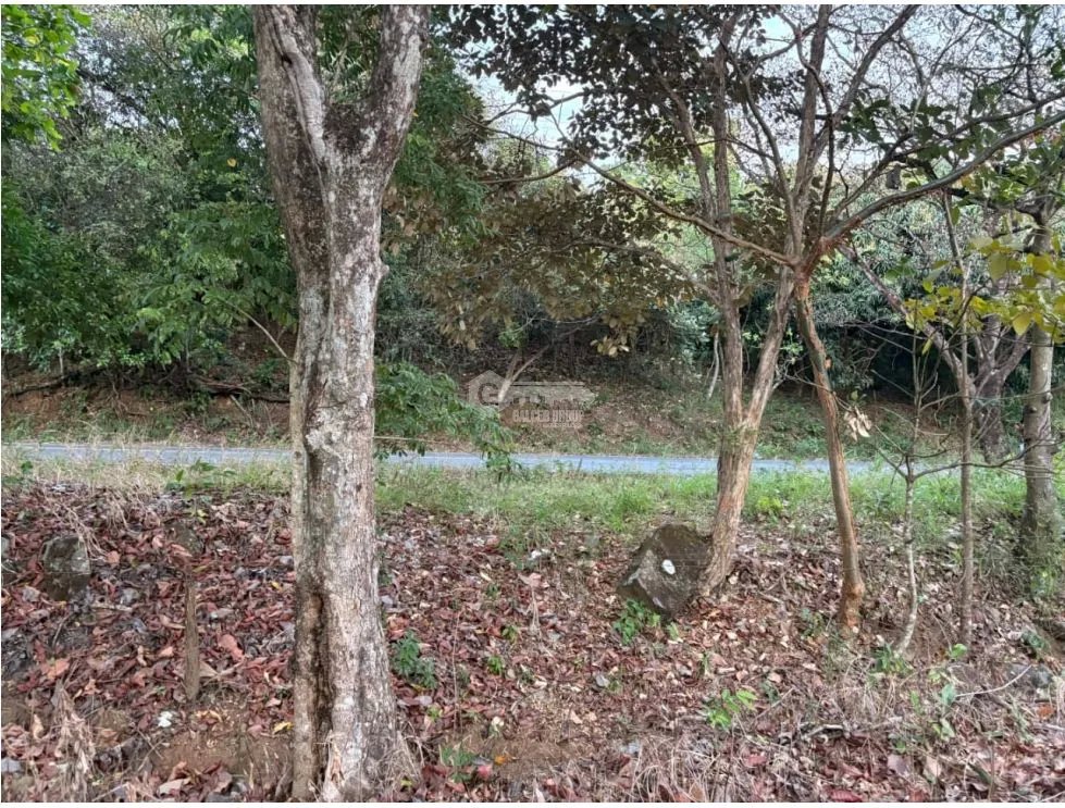 SAN CARLOS / LAS PEÑITAS / 1600M / SOBRE LA VIA / RESIDENCIAL / AG