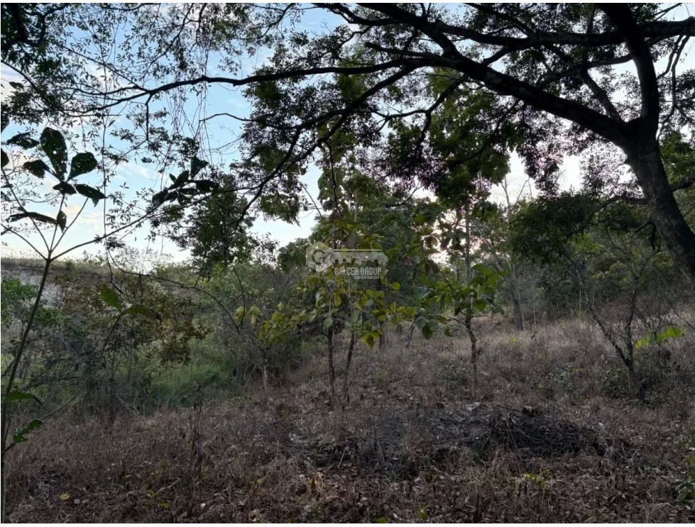 SAN CARLOS / LAS PEÑITAS / 1600M / SOBRE LA VIA / RESIDENCIAL / AG