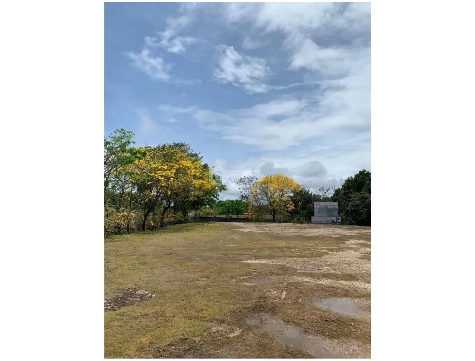 COCLE / SANTA CLARA / 32000M / FRENTE A PANAMERICANA / COMERCIAL / AG
