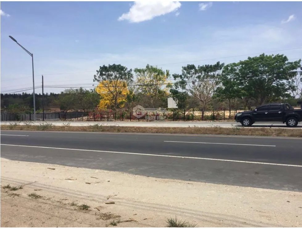 COCLE / SANTA CLARA / 32000M / FRENTE A PANAMERICANA / COMERCIAL / AG