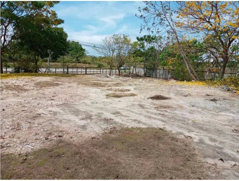 COCLE / SANTA CLARA / 32000M / FRENTE A PANAMERICANA / COMERCIAL / AG