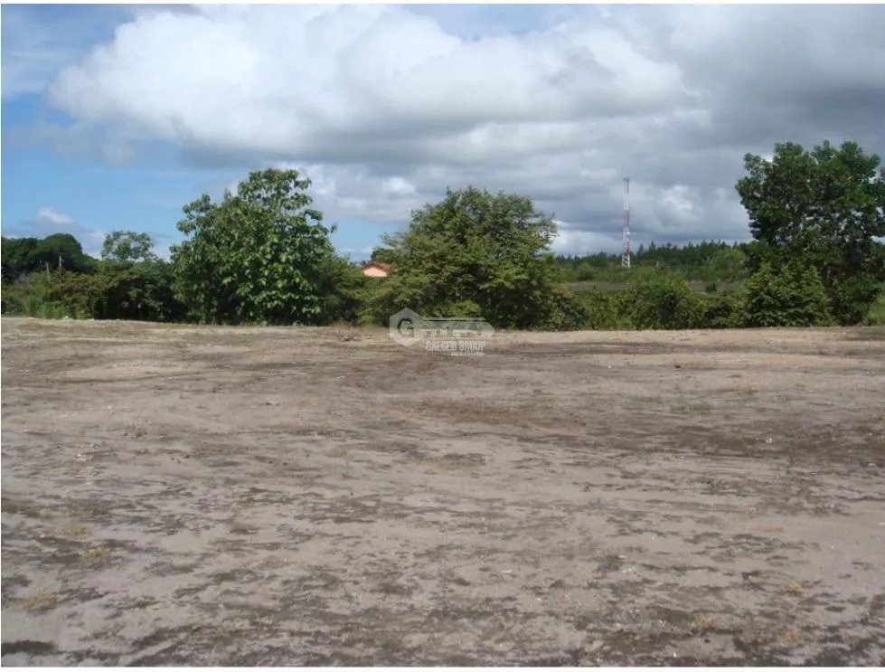 COCLE / SANTA CLARA / 32000M / FRENTE A PANAMERICANA / COMERCIAL / AG