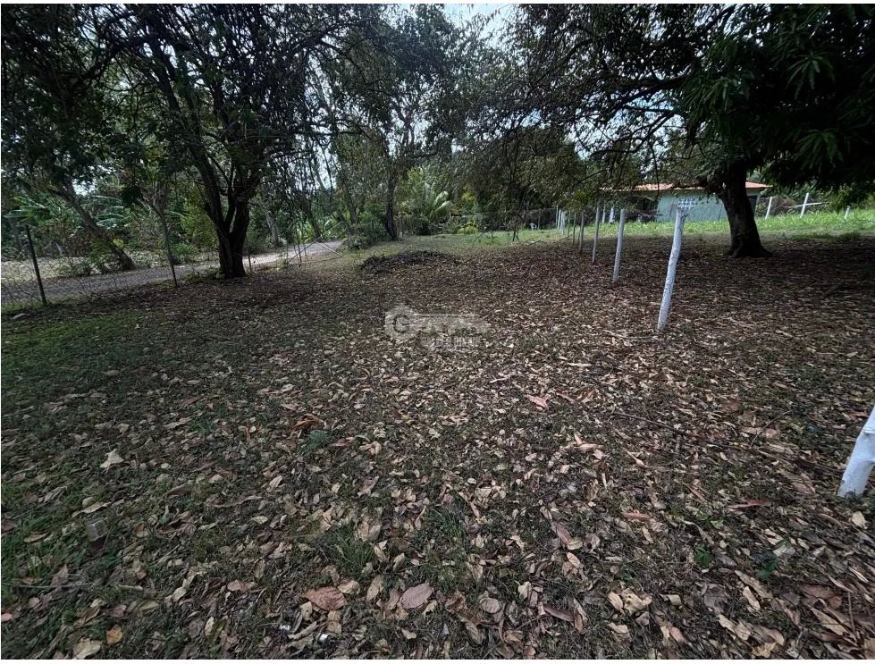 SE VENDE TERRENO DE ESQUINA EN GORGONA CHAME DE 360M CERCA DE PLAYA